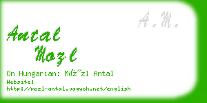 antal mozl business card